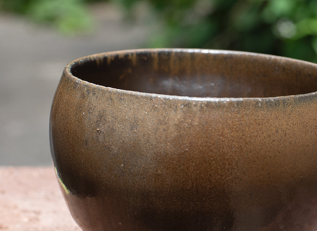 Tadanoumi Yu Iron glaze all-purpose coupe